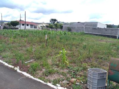 Terreno para Venda, em Quilombo, bairro Cristo Rei