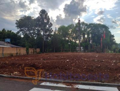 Terreno para Venda, em Quilombo, bairro Busnello